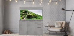 Aqua One Oakstyle 230 Industrial Concrete Edition Aquarium And Cabinet -OASE Sales Store 110 oakstyle industrial concrete 11401.1609941501