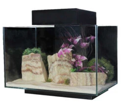 Aqua One Platform 21 Aquarium