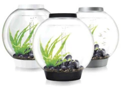 BiOrb CLASSIC 60 White - MCR LED -OASE Sales Store Biorb Classic 60 40408.1539700563