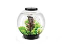 OASE Sales Store 16 OASE Sales Store -OASE Sales Store Biorb classic 08442.1603725850