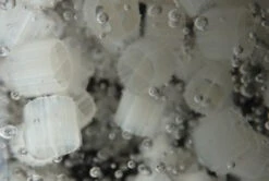 Evolution Aqua K1 Micro Media 25 Litres -OASE Sales Store K1 Micro Media 86147.1537197488.1280.1280 85388.1537198772