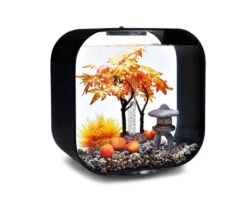 BiOrb Decor Set 30L Autumn -OASE Sales Store OASE biOrb Decor Set 30L Autumn 36939.1670599239