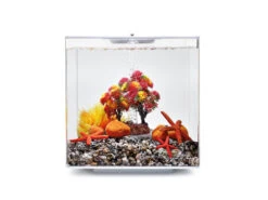 BiOrb Decor Set 15L Autumn -OASE Sales Store OASE biOrb Decor kit 15L Autumn 96431.1666794660
