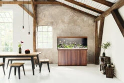 Juwel Rio 450 LED Aquarium And Cabinet Dark Wood -OASE Sales Store Rio 450 dark wood in situ 32451.1573041981