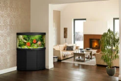 Juwel Trigon 190 LED Aquarium And Cabinet Black -OASE Sales Store Trigon 190 black in situ 13628.1572104347