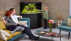 Juwel Trigon 350 LED Aquarium And Cabinet Black -OASE Sales Store Trigon 350 black in situ 69632.1572103540