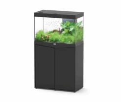 Aquatlantis Splendid 80 Black With Cabinet