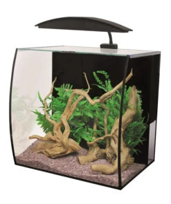 Aqua One Arc 46 Aquarium