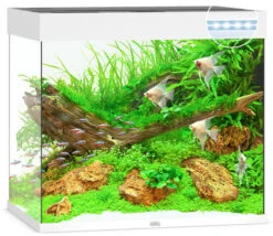 Juwel Lido 200 LED Aquarium And Cabinet White -OASE Sales Store lido 200 white LED 15503.1572004424