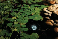 Pontec Oase Pondtec PondoAir Set 1200 Air Pump & Light -OASE Sales Store pondair set 1200 35550.1636888225