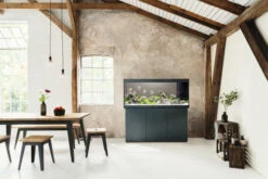 Juwel Rio 450 LED Aquarium And Cabinet Black -OASE Sales Store rio 450 black in situ 40413.1573040150