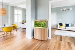 Juwel Vision 180 LED Aquarium And Cabinet Light Wood -OASE Sales Store vision 180 light wood in situ 36975.1572012275