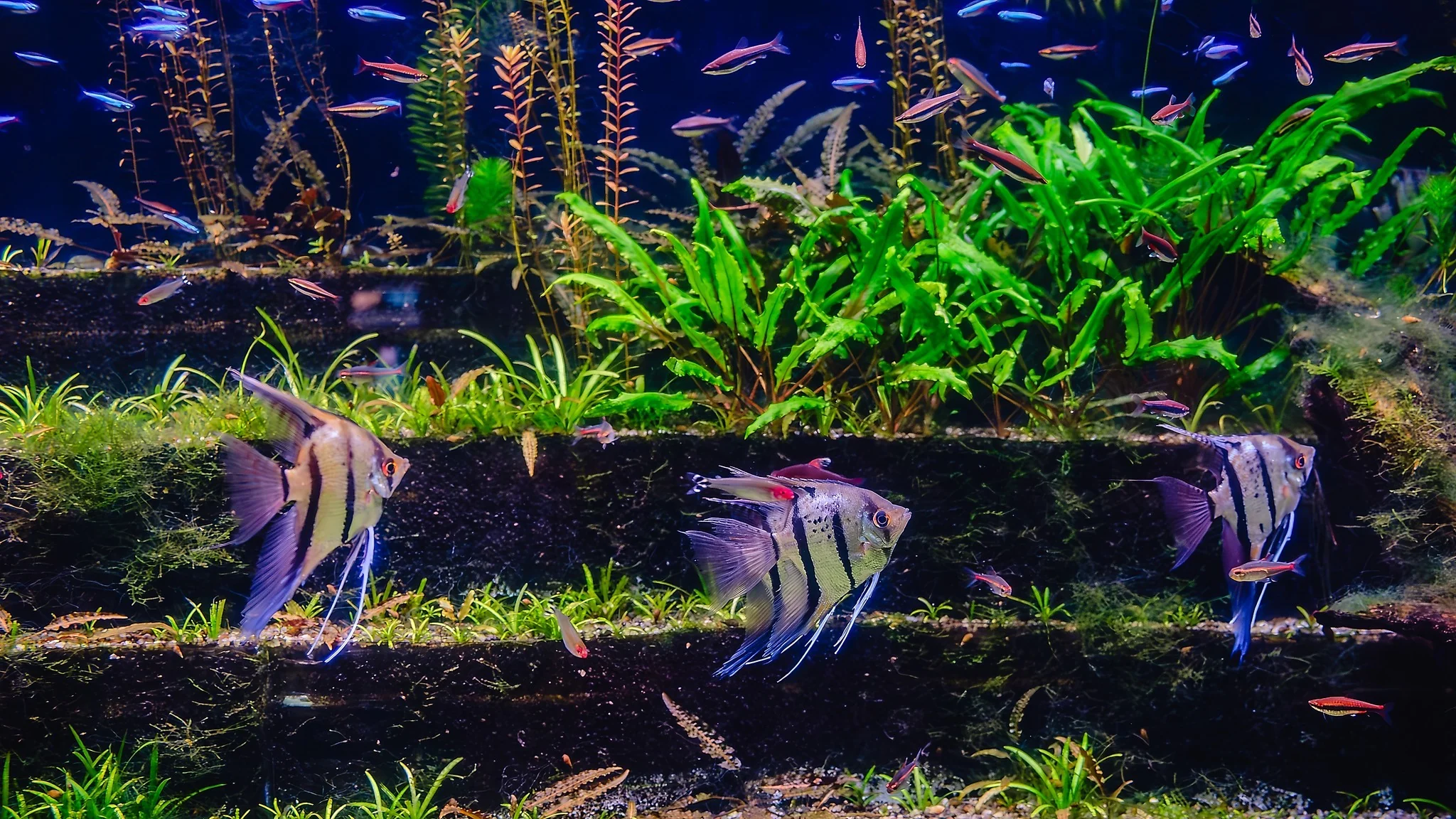 OASE Sales Store -OASE Sales Store 450454559 829015186006283 3085841321267881481 n