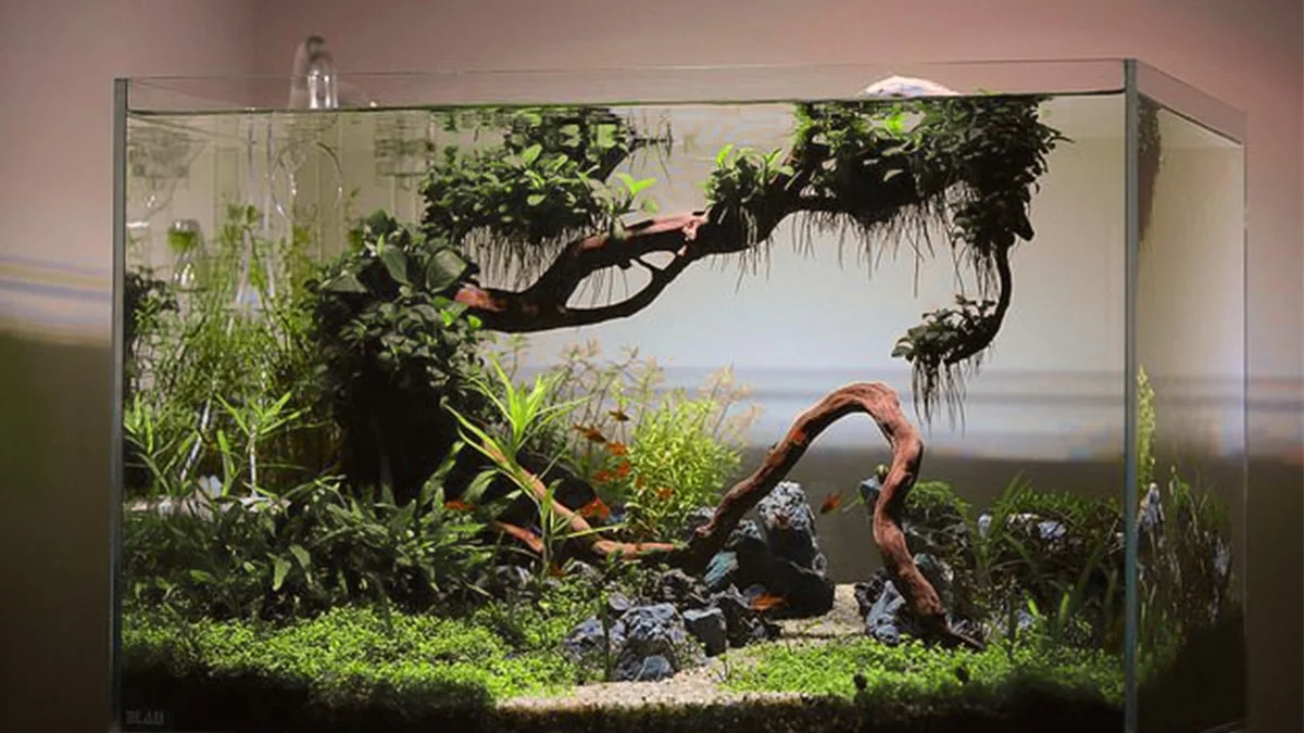 OASE Sales Store -OASE Sales Store Thefishkart Aquarium min