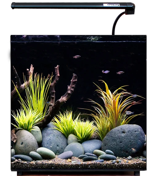 OASE Sales Store 18 OASE Sales Store -OASE Sales Store aquanano 30 aqua one 51784.1665576925